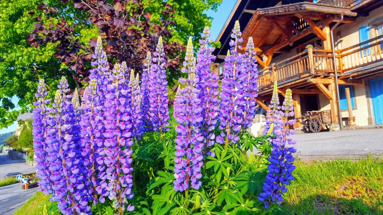 فندق Saint-Nicolas-la-Chapelle في  Chalet La Source المظهر الخارجي الصورة